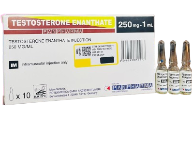 Panpharma Test E 250mg